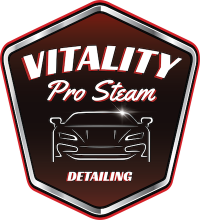 VitalityProSteam