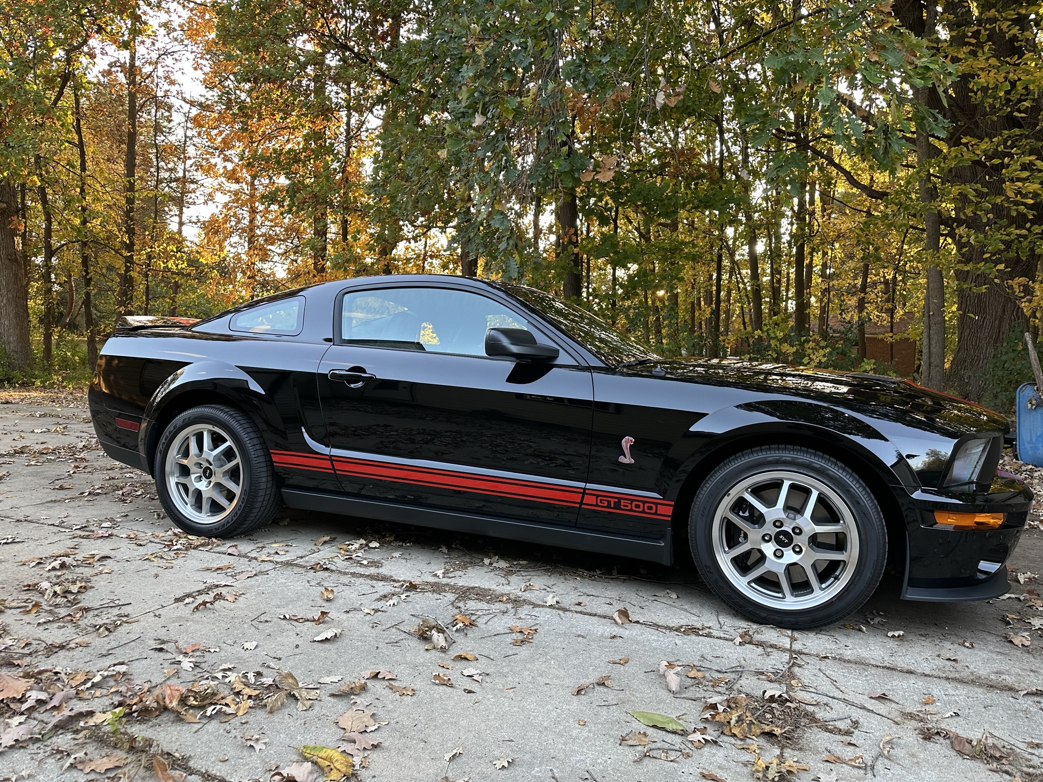 2007 Ford Mustang Shelby GT-500